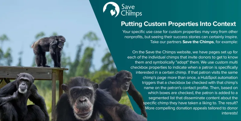 save-chimps